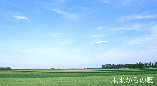 未来からの風